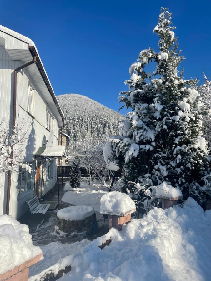 Ferienwohnung Садиба Диво Квітка Tatariw Exterior foto